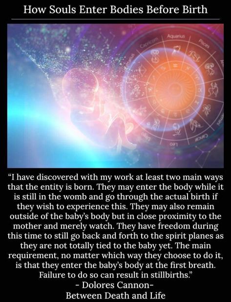 Dolores Cannon Quotes, Reincarnation Quotes, Quantum Physics Spirituality, Reincarnation Story, Kemetic Spirituality, Dolores Cannon, Divine Feminine Spirituality, Cool Science Facts, Spirit Science