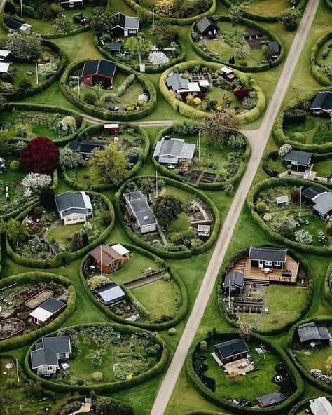 National Geographic Wild, David Attenborough, Community Gardening, Rural Area, Garden Structures, Real Photos, National Geographic, A Garden, Denmark