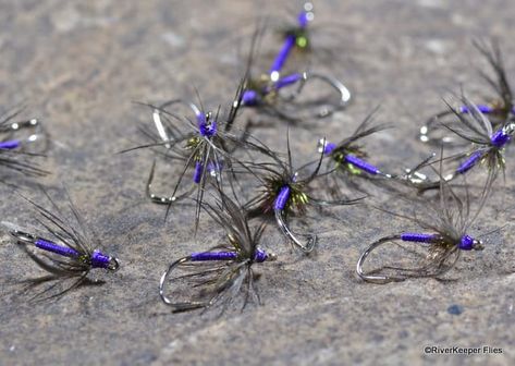 Fishing and Tying Flies - Soft Hackle Fly Patterns, Spider Fly, Tenkara Fly, Tying Flies, Fly Tying Desk, Fall Fishing, Fly Fishing Flies Pattern, Saltwater Flies, Purple Soft