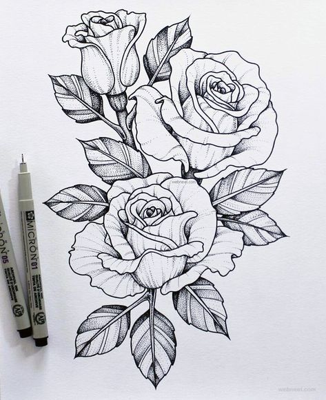 by armankhan1100 Rose Drawing Tattoo, Upper Back Tattoos, Beautiful Flower Drawings, Samoan Tattoo, Tattoo Templates, Rosen Tattoo, Rose Drawing, Drawing Faces, Roses Drawing