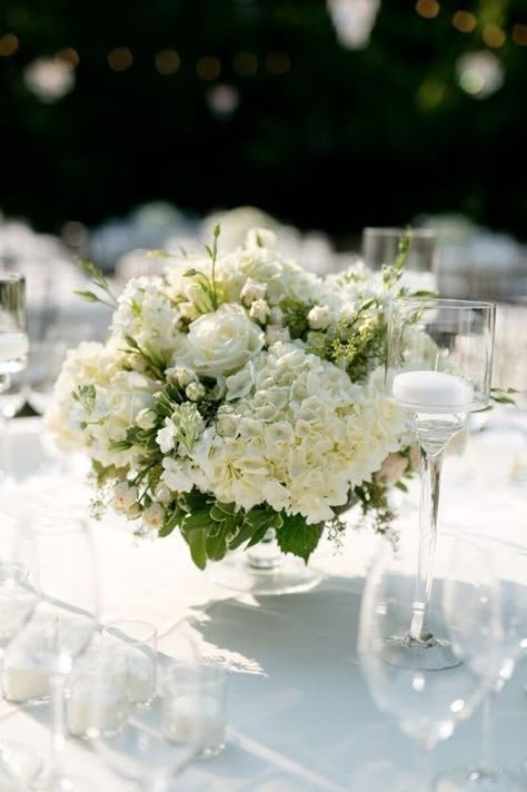 Wedding Historic Building, Low White Floral Centerpieces, Green And White Hydrangea Centerpiece, White And Green Centerpiece Wedding, Green And White Wedding Florals, Potted Plant Centerpieces Wedding, White Flower Table Arrangements, Low Flower Arrangements For Table, Wedding Round Table Settings