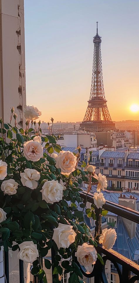 Romantic Paris: White roses on balcony overlooking Eiffel Tower at sunset, blending nature and iconic architecture Dream Place Paris, Places In Paris Aesthetic, Romantic European Aesthetic, Paris Art Aesthetic, Paris In Summer Aesthetic, French Love Aesthetic, Photo Shoot In Paris, White Aesthetic Things, Aesthetic Places Nature