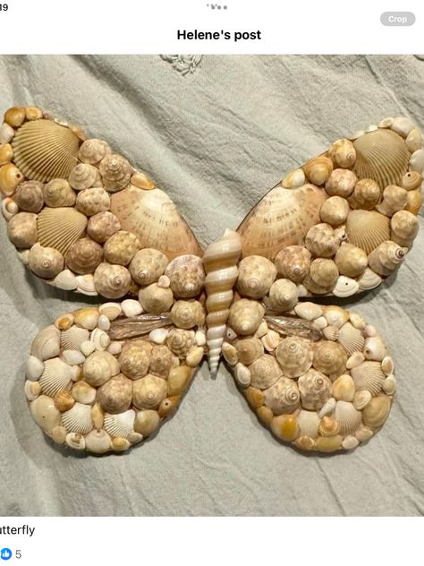 Sea Shells, Diy Projects