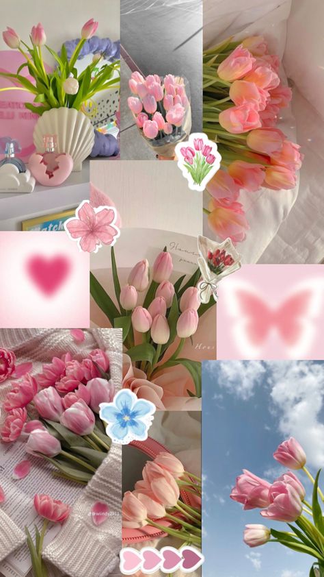 Tulips Wallpaper Collage, Wallpaper Aesthetic Bunga, Aesthetic Ipad Wallpaper Collage, Tulip Wallpaper Iphone, Tulip Flowers Aesthetic, Wallpaper Tulips Aesthetic, Wallpaper Bunga Tulip, Aesthetic Tulips Wallpaper, Pink Flower Wallpaper Iphone