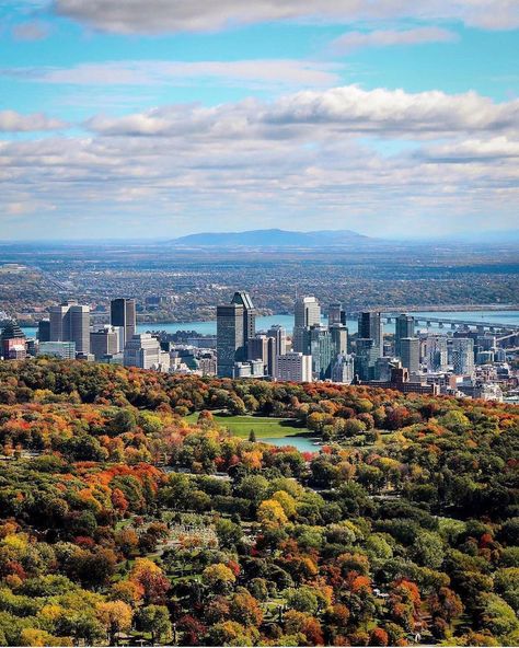 Live MTL on Instagram: “Mont Royal 😍🍂🍁🍃 📸@jfsavaria #montreal #mtl #livemtl #livemontreal #montréal #mtlmoments #quebec #québec #canada #montroyal #october…” Conclusion Essay, Mont Royal Montreal, Mother Language Day, Essay Contests, Persuasive Essays, Thesis Statement, Essay Writer, Good Essay, Montreal Quebec