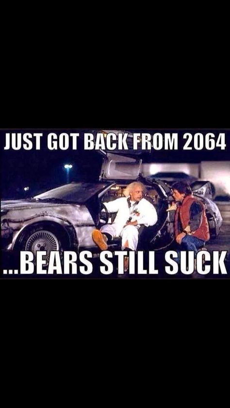 Chicago Bears Memes, Chicago Bears Funny, Bears Funny, Green Bay Packers Funny, Packers Funny, Green Bay Packers Wallpaper, Bear Meme, Nfl Funny, Go Packers