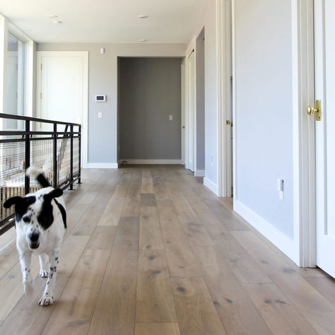 European White Oak Floors Wide Plank, Hunt House, European White Oak Floors, Ceiling Cladding, French Oak Flooring, White Oak Hardwood Floors, Oak Wood Floors, White Oak Floors, Oak Flooring