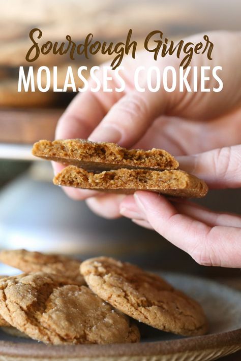 Ginger Crisp Cookies, Holiday Entertaining Food, Ginger Molasses, Discard Recipes, Ginger Biscuits, Ginger Molasses Cookies, Winter Cookie, Holiday Favorite Recipes, Molasses Cookies