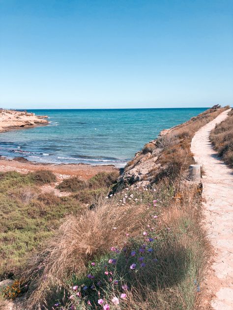 Beautiful coast of Spain! Wildflowers, salt water and a moutainside path Spain Coast, Coast Of Spain, Spain Trip, Salt And Water, Spain Travel, Oh The Places Youll Go, The Coast, Wild Flowers, Vision Board