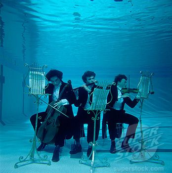 I can bring a music stand and we can put weights on the bottom? Under Water Aesthetic, Barnacle Boy, Underwater Music, Three Musicians, Underwater Photoshoot, Art Underwater, Water Wallpaper, Interactive Art Installation, Person Photography