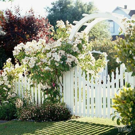 Landscaping with white roses will create a front yard or backyard that’s full of beauty. You’ll want to spend more time outside enjoying nature when you have a stunning landscape. Let these dazzling photos serve as your garden inspiration. Arbor Gate, Garden Gate Design, Fence Garden, Flowers Growing, Garden Arbor, Garden Entrance, White Picket Fence, Classic Garden, Have Inspiration