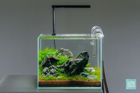 Iwagumi Aquascape Layout, Iwagumi Aquascape, Nano Aquascape, Aquascape Inspiration, Aqua Scaping, Natural Aquarium, Fish Aquarium Decorations, Aqua Design, Aqua Tank