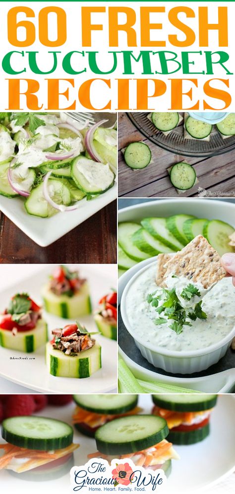 60 Recipes with Fresh Cucumbers Cucumber Recipes Easy, Cucumber Harvest, Cucumber Recipes Healthy, Fresh Veggie Recipes, Cucumber Snacks, Cucumber Appetizers, Fruit Recipes Healthy, Fresh Cucumber, Light Appetizers