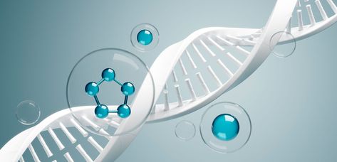 If you are looking to invest in your Health, a genetic test is your best bet! Personalized Genomic tests help predict your genetic predisposition to a health condition Genetic Counseling, Invest In Your Health, Genetic Testing, Customer Testimonials, Kerala India, Health Knowledge, Biotechnology, Event Organization, Work Environment