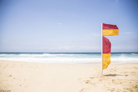 BeachSafe App, Sydney Surf Lifesaving, Red And Yellow Flag, Surf Life Saving, Australian Beaches, Rip Current, Beach Lifeguard, Marine Creatures, Australian Beach, Surf Life