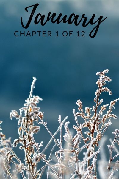 January Chapter One of Twelve January Chapter 1 Of 12 Wallpaper, January Chapter 1 Of 12, Chapter 1 Of 12, January Books, Hello January, Planner Books, Good Morning Sunshine Quotes, Writing Romance, Sunshine Quotes