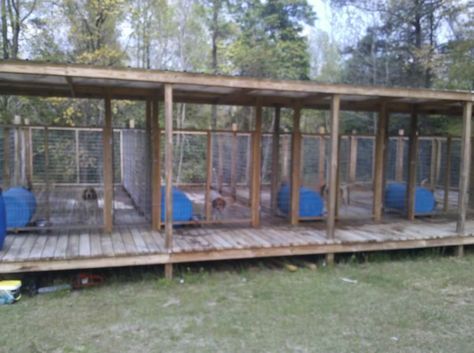 UKC Forums - more above ground kennel pics please Hunting Dog Kennel Ideas, Mountain Farming, Kennel Design, Kennel Ideas Outdoor, Coon Hunting, Dog Boarding Kennels, Dog Backyard, Dog Kennel Ideas, Outdoor Dog Kennel