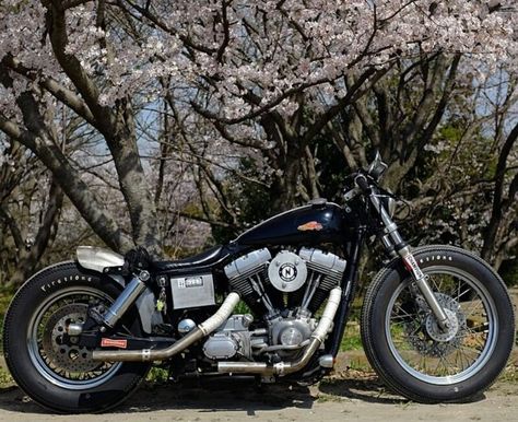 Harley dyna bobber Harley Evo, Dyna Club Style, Sportster Cafe Racer, Street 750, Мотоциклы Harley Davidson, Harley Davidson Museum, Dyna Super Glide, Dyna Low Rider, Custom Sport Bikes