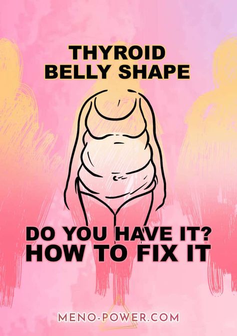 Thyroid Belly Shape. How to Fix Your Thyroid and Lose Weight Hashimotos Disease Recipes, Hormonal Belly, Types Of Belly Fat, Thyroid Symptoms, Hashimotos Disease, Thyroid Function, Thyroid Hormone, Nurse Stuff, Hormone Levels