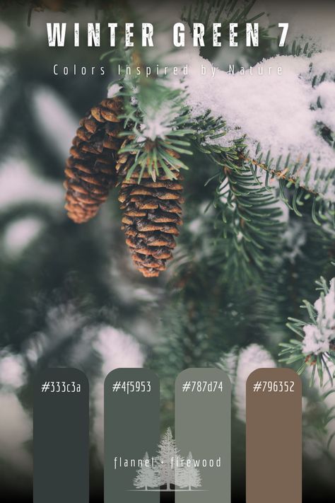 Winter Green Color Palette, Evergreen Color Palette, Forest Color Palette, Evergreen Color, Document Design, Green Color Palette, Winter Green, Forest Color, Documents Design