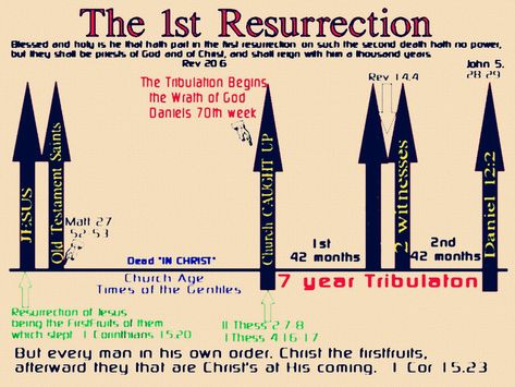 Revelation Scriptures, Clarence Larkin, Seven Trumpets, Revelation Bible Study, Revelation 20, Revelation Bible, The Seventh Seal, Bible Mapping, Bible Prophecy