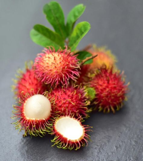 Pulasan Fruit, Anime Cover, Nice Food, Anime Cover Photo, Cover Photo, Water Colour, Drawing Inspo, Fruit Trees, Drawing Inspiration