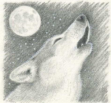 Wolf Howling Drawing, The Moon Drawing, Wolf Drawing Easy, Draw A Wolf, Wolf Howling At The Moon, Wolf Sketch, Moon Coloring Pages, How To Sketch, Wolf Colors