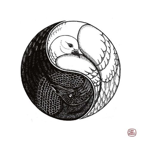 Raven yin and yang Tattoo Yin Yang, Spirit Animal Tattoo, Yin Yang Images, Goth Diy Decor, Ying Yang Tattoo, Yin Yang Balance, Yin Yang Art, Dove Tattoo, Yin Yang Tattoos