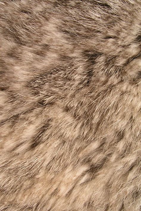 Pink Fur Wallpaper, Hairstyles For Plus Size Women, Boyfriend Rules, Fur Wallpaper, Wallpaper Fur, Fur Background, Wallpapers Pink, Faux Fur Area Rug, Free Live Wallpapers