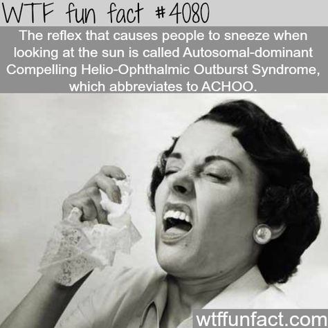 Reflex that causes people to sneeze when looking at the sun - WTF fun facts Mind Blowing Facts, Wow Facts, Unbelievable Facts, Science Facts, True Facts, The More You Know, History Facts, Gi Joe, Fun Fact