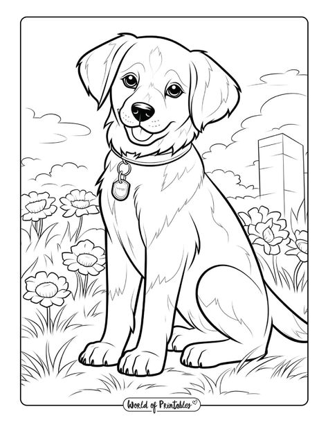 Dog Coloring Sheet, Yorkie Line Drawing, Yorkie Coloring Pages, Husky Coloring Pages Free Printable, Chihuahua Coloring Pages, Dog And Cat Coloring Page, Dog Coloring Page, Hello Kit, Coloring Sheets