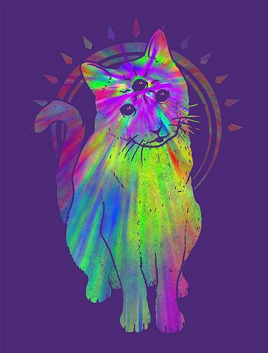 @Alicks Gordon-Forbes  This made me think of you! <3  (Btw, I stumbled across your board when I looked up trippy, and then found your profile! I like your pins!) Trippy Cat, Psy Art, Colorful Cat, Trippy Art, Crazy Cats, Woodstock, Cat Art, Psychic, Animal Art