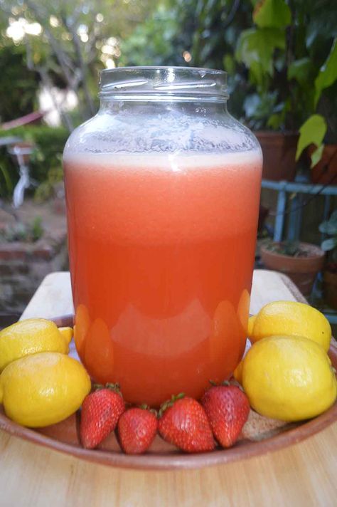 Fermented Lemonade with Strawberry: 12 Lemons, 1 pound of Strawberries, 2½ quarts of Filtered or Spring Water, ¾ cup of Organic Sugar or Rapadura, 1 cup of whey, 1 gallon glass jar Fermented Lemonade, Benefits Of Fermented Foods, Probiotic Drinks, Fermentation Recipes, Lemon Drink, Water Benefits, Fermented Drink, Probiotic Foods, Organic Sugar