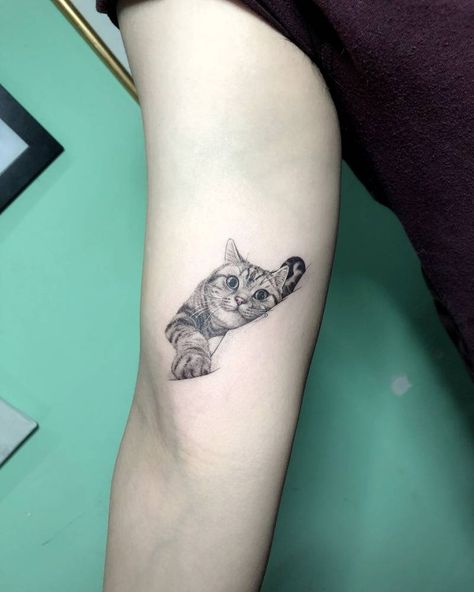 Single needle cat tattoo on the right inner arm. Small Cat Tattoo, Single Tattoo, Cat Portrait Tattoos, Cats Tattoo, Tier Tattoo, Cat Tattoo Small, Tattoo Dotwork, Inner Arm Tattoo, Black Cat Tattoos