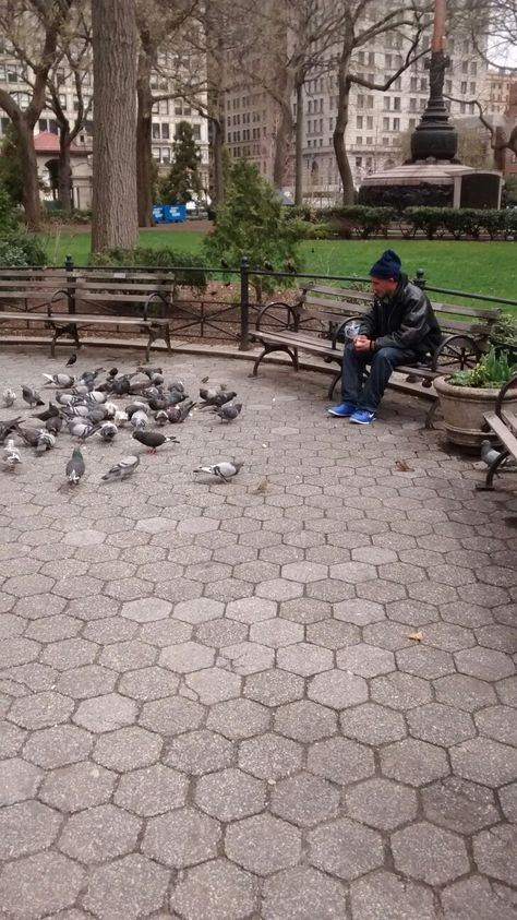 Man feeding pigeons in Union Square Park NYC. April 2017. Feeding Birds Aesthetic, New York Pigeon, Pigeon Feed, Feeding Pigeons, Nyc April, Urban Wildlife, Maddest Obsession, Nerd Baby, Writer Inspiration