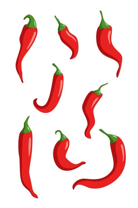 Set of red chili peppers on white. Vector illustration of isolate Chili Illustration, Vector Cityscape, Red Chili Peppers, Red Chili, Chili Peppers, Chili Pepper, Illustration Vector, Peppers, Art Inspo