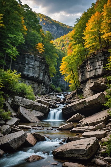 Escape to the Wild: West Virginia’s Stunning State Parks Autumn In West Virginia, New River Gorge National Park West Virginia, Pipestem State Park West Virginia, Season Pictures, Hiking In West Virginia, West Virginia Mountains, Waterfall Scenery, West Virginia Travel, Mountain Vibes