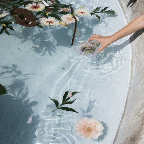 Jordyn Core, Water, Flowers