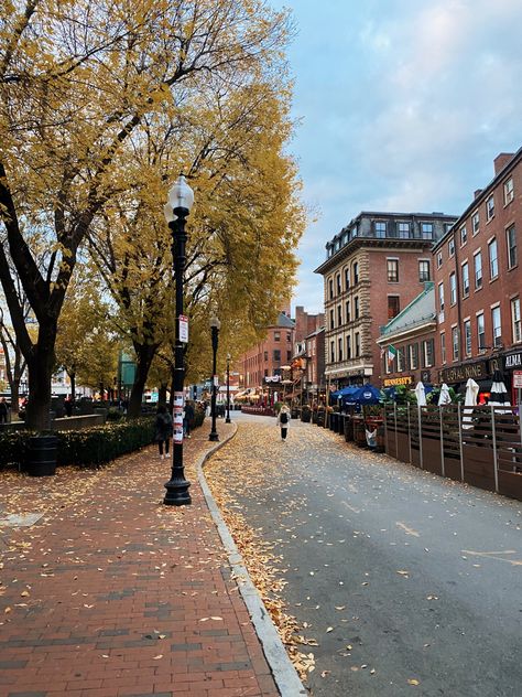 An autumn day in the historic city of Boston. 🍂 New England in the fall. Fall foliage in Boston. Boston During Fall, Fall In Dc, Boston Fall Aesthetic, Boston In November, Boston Autumn, Fall In Boston, Courtney Campbell, New England In The Fall, Boston In The Fall