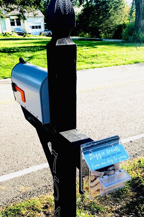 Neighborhood Dog Treat Station, Outdoor Dog Treat Station, Dog Treat Station, Pet Donation Box Ideas, Mobile Dog Treat Truck, Kid And Dog Friendly Back Yard, Dog Shelter Volunteer, Dog Station, Dogs Ideas