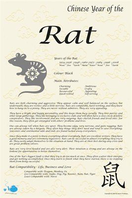 Chinese Zodiac: Chinese Zodiac Year of the Rat, $9.00 from MagCloud Year Of The Rat Tattoo, Rat Character, Pig Chinese Zodiac, Rat Zodiac, Chinese Zodiac Rat, Chinese Numerology, Zodiac Chinese, Astrology Meaning, Chinese Horoscope