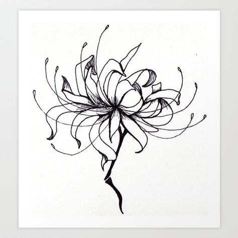 Spider Lily Sketch, Spider Lily Art, Spider Lily Drawing, Lycoris Radiata, Sketches Tattoo, Lilies Drawing, Lily Art, Spider Lily, Lily Painting