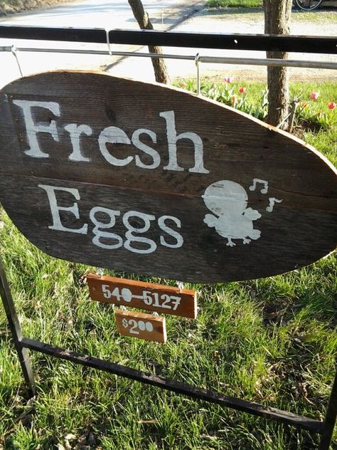 Eggs for sale sign. Egg shape with interchangeable price Eggs For Sale Sign, Best Laying Chickens, Laying Chickens Breeds, Best Egg Laying Chickens, Laying Chickens, Egg Laying Chickens, Eggs For Sale, The Whitsundays, Sale Sign