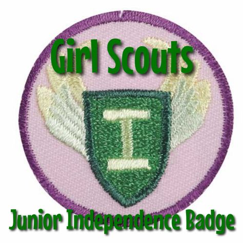 Girl Scout Independence Badge Break A Habit, Planet Love, Handy Woman, Girl Scout Juniors, Girl Scout Troop, Scouts Crafts, Cool Patches, Clothes Organization, You Are Awesome