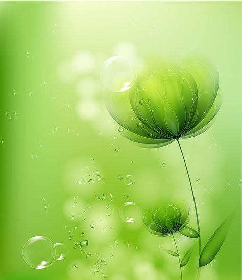 Dandelion Herb Light Design background Screen Savers Wallpapers Backgrounds, Flower Background Design, Verde Jade, Beautiful Butterfly Pictures, Very Beautiful Flowers, Church Poster Design, Screen Savers Wallpapers, Stock Flower, Background Green