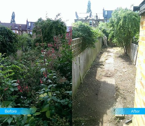 It's a Jungle Out There: How to Clear an Overgrown Garden - Fantastic Services Blog Messy Garden, Overgrown Garden, Gothic Garden, Backyard Remodel, Garden Makeover, Beautiful Yards, Side Garden, Better Homes And Garden, Garden Spaces