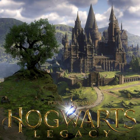 Hogwarts Legacy - Vegetation, Noah Monnereau on ArtStation at https://www.artstation.com/artwork/qe2onz Hogwarts Legacy, Big Thanks, Special Thanks, Art Director, Hogwarts, My Art, Art Design, Make Up, Forest