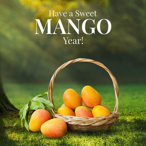 summer fruit social media banner on Behance Mango Advertising Design, Mango Moodboard, Fruit Poster Design, Mango Poster, Mango Background, Fruit Banner, Mango Sale, Mogu Mogu, Instagram Mockup