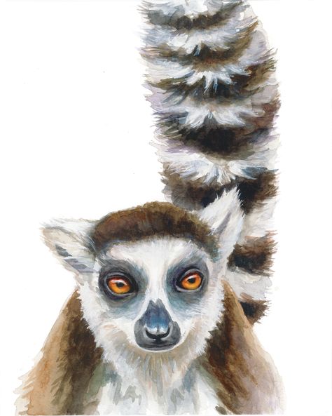 Watercolor Portrait of a Ring-Tailed Lemur, 8x10 inches on Cold Press Illustration Board Press Illustration, Lemur Art, Ring Tailed Lemur, Bear Watercolor, Illustration Board, Animal Artwork, Tag Ideas, Animal Drawing, Watercolor Portrait