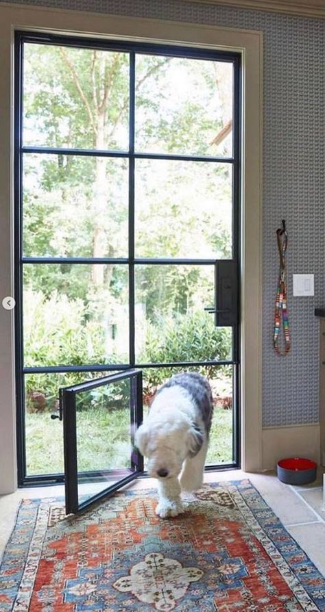 Patio Dog Door, Doggy Door, Yellow Floor, Black Window Frames, Dog Washing Station, Home Design Diy, Furniture Interior Design, Interior Design Boards, Animal Room